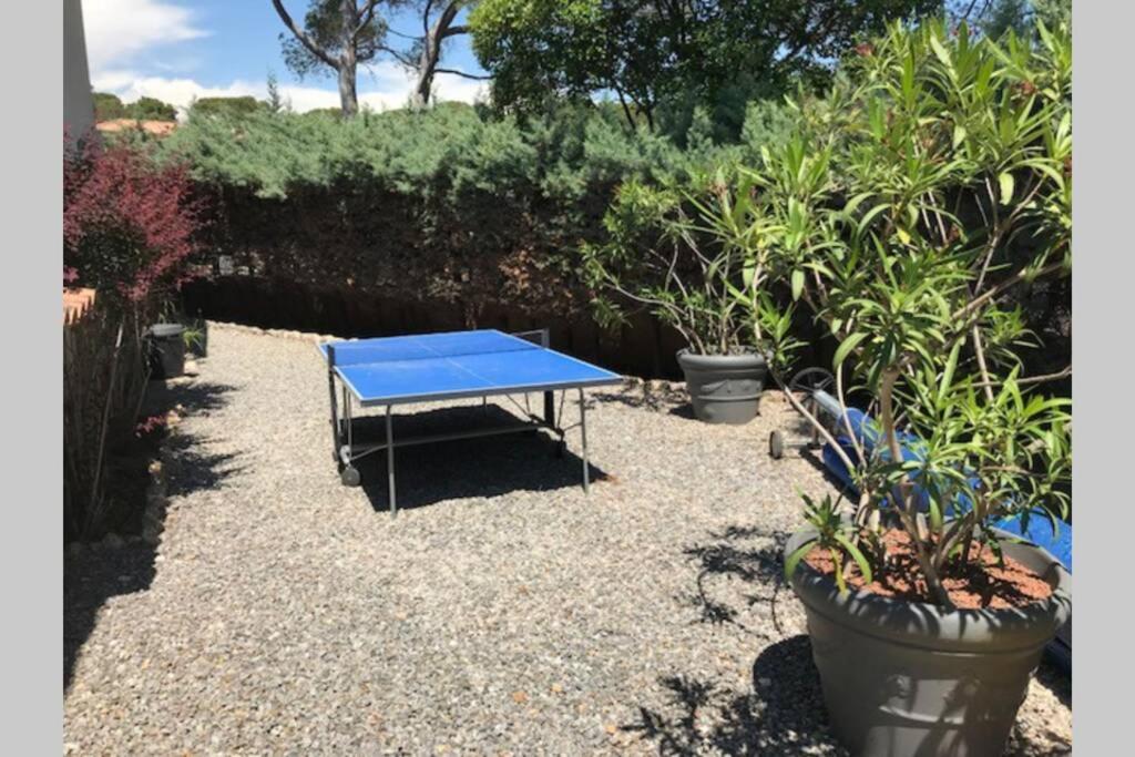 "Les Alizes" Cote Piscine Proche Bord De Mer Saint-Raphaël Eksteriør billede