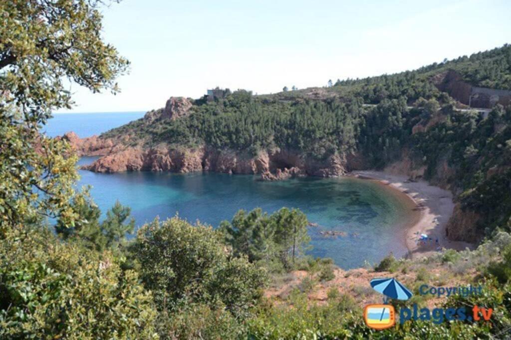 "Les Alizes" Cote Piscine Proche Bord De Mer Saint-Raphaël Eksteriør billede
